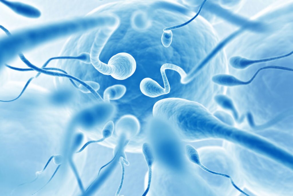 sperm-health
