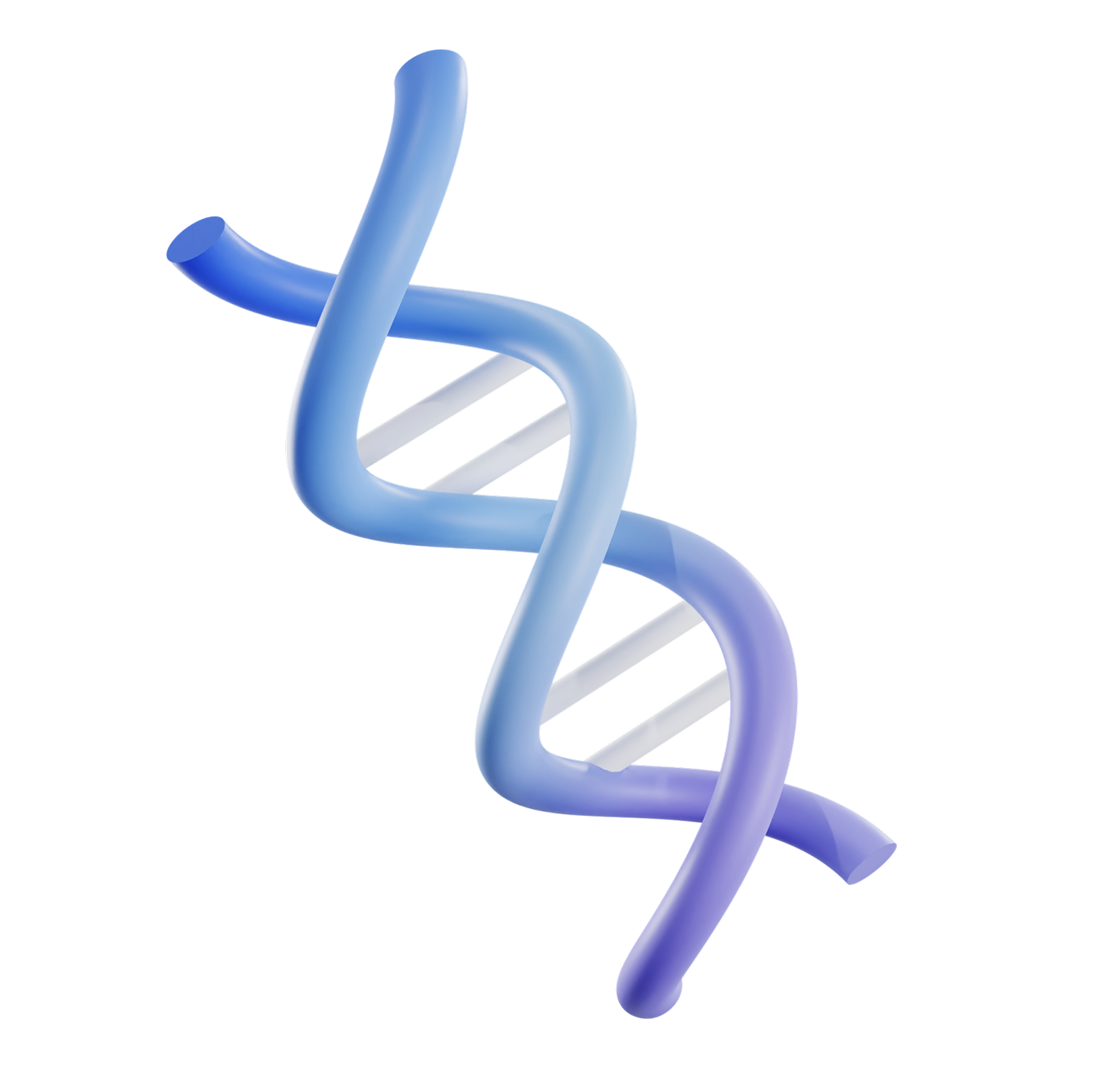 DNA